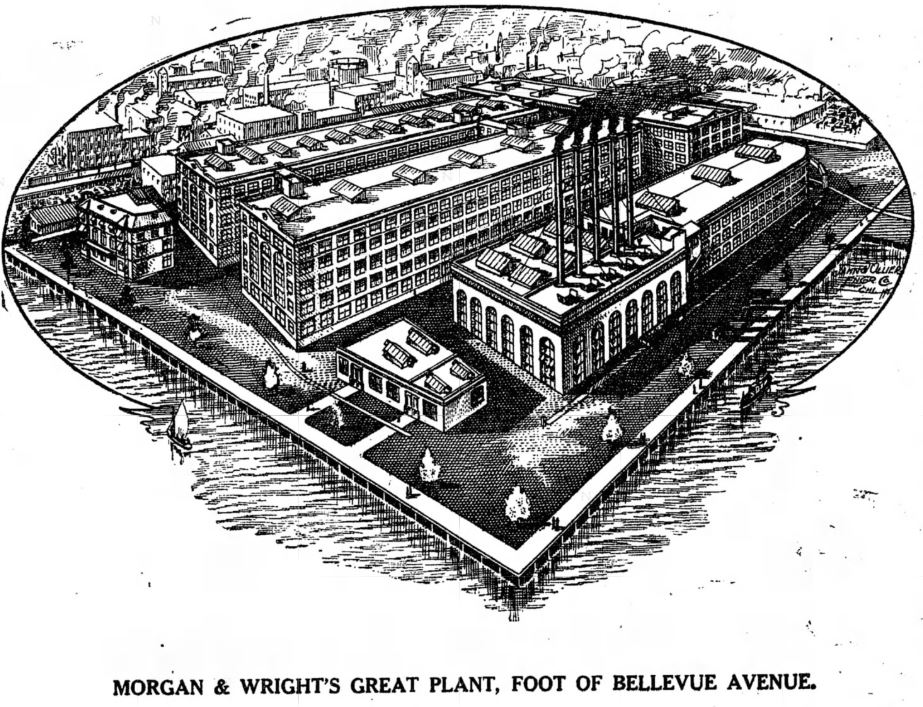 Morgan-Wright Rubber Plant